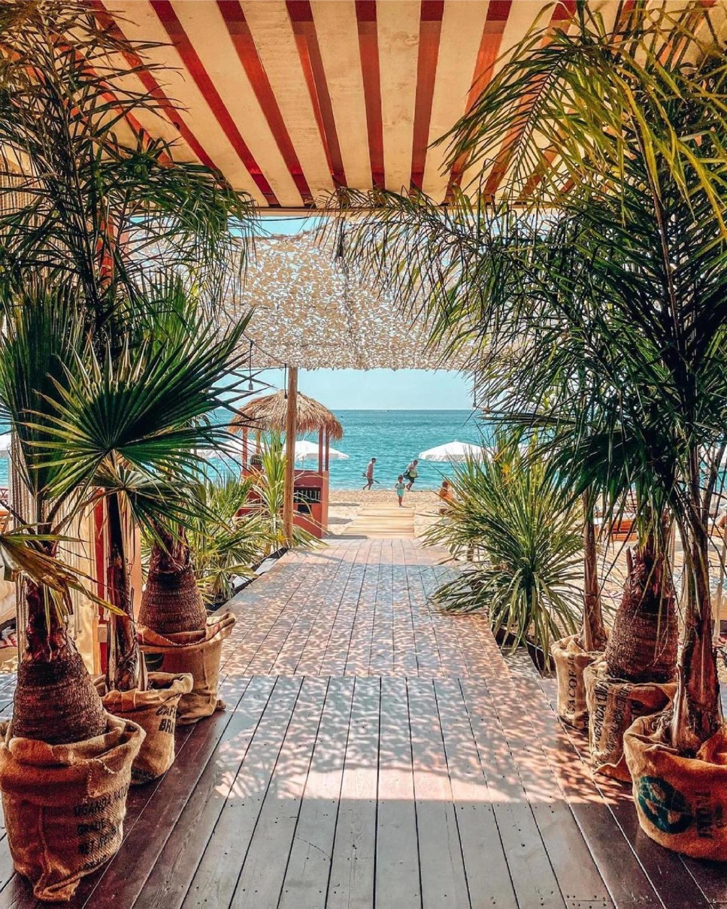 Appartement 1Ere Ligne Piscine Terrasse Au Bord De La Plage Front De Mer Avec 6 Velos Палава-ле-Фло Экстерьер фото